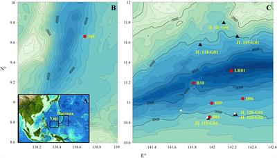 The Sources of Organic Carbon in the Deepest Ocean: Implication From Bacterial Membrane Lipids in the Mariana Trench Zone